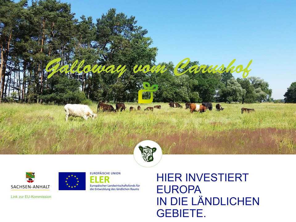 Screenshot der Website des Carushofs